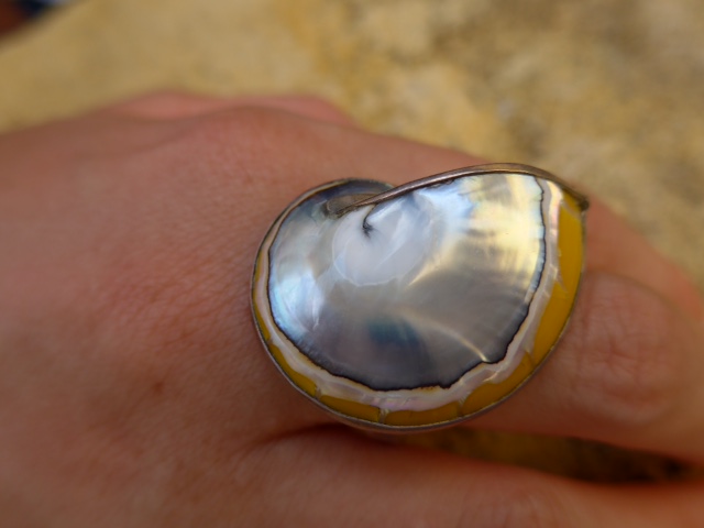 ringe11